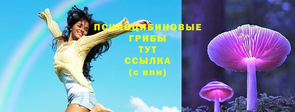 индика Алзамай