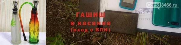 индика Алзамай