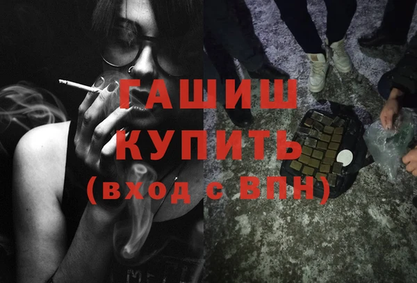 индика Алзамай