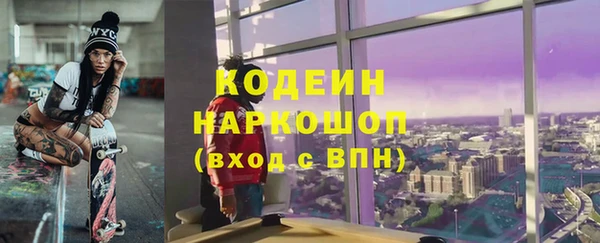 индика Алзамай