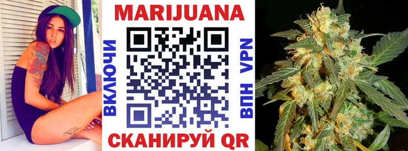 дарнет шоп Фурманов Марихуана сатива